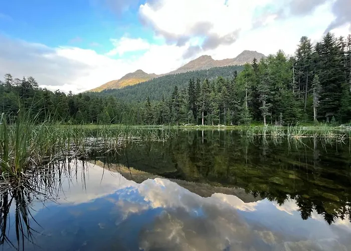 Chesa Munteratsch 1-zimmerwohnung 107 Typ B Daire