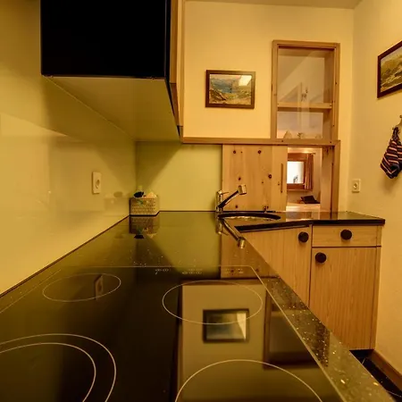 Apartamento Chesa Munteratsch 1-zimmerwohnung 107 Typ B Silvaplana