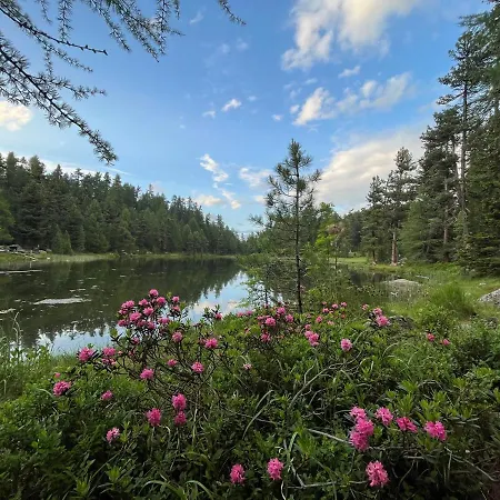 Apartamento Chesa Munteratsch 1-zimmerwohnung 107 Typ B *