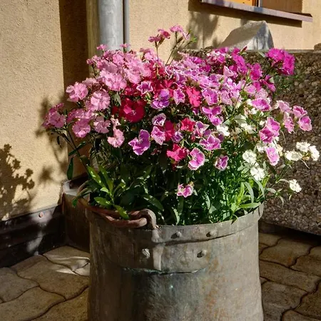 Chesa Munteratsch 1-zimmerwohnung 107 Typ B * Silvaplana