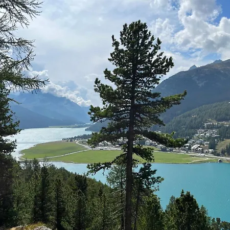 Apartamento Chesa Munteratsch 1-zimmerwohnung 107 Typ B *