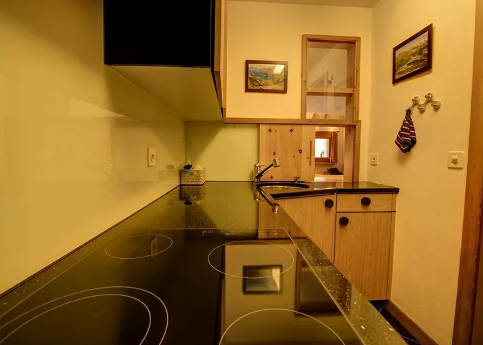 Apartmán Chesa Munteratsch 1-zimmerwohnung 107 Typ B Silvaplana