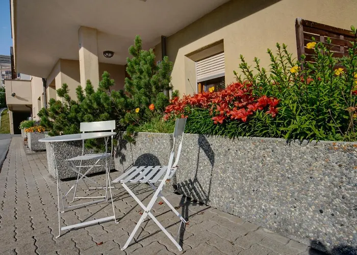 Chesa Munteratsch 1-zimmerwohnung 107 Typ B * Silvaplana