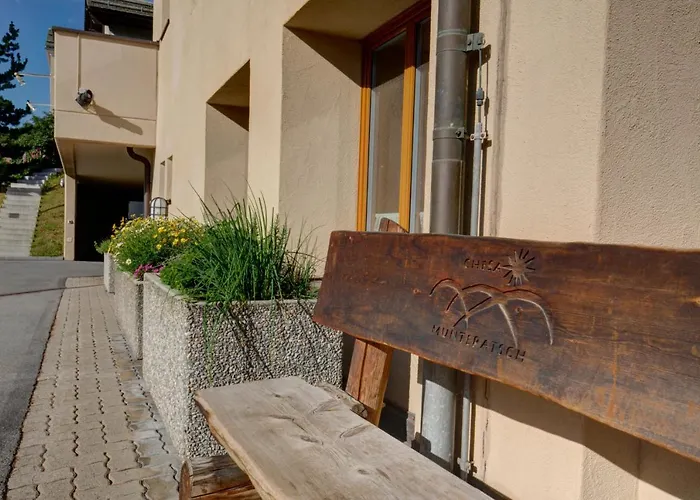 Chesa Munteratsch 1-zimmerwohnung 107 Typ B Apartmán *