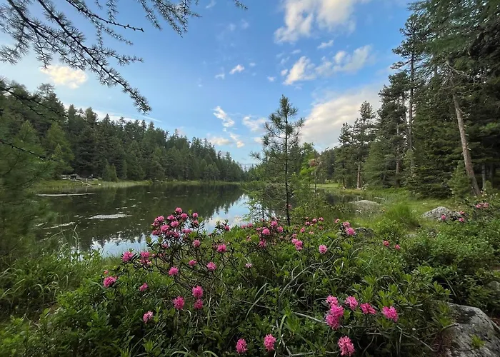 Appartement Chesa Munteratsch 1-zimmerwohnung 107 Typ B *