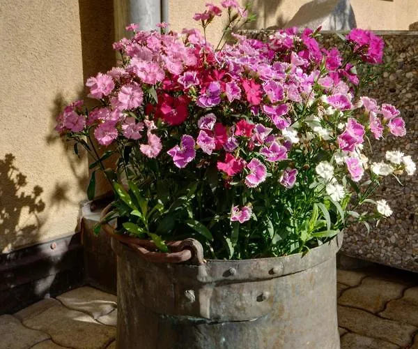 Chesa Munteratsch 1-zimmerwohnung 107 Typ B * Silvaplana