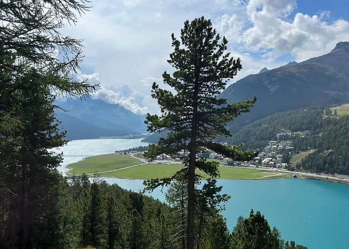 Appartement Chesa Munteratsch 1-zimmerwohnung 107 Typ B *